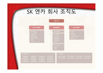 SK 엔카의 마케팅 경제이론에 대한 분석-5