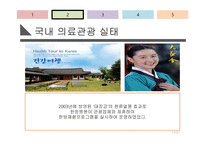 [서비스 경영] 국내 의료관광 산업의 실태 및 잠재력에 대한 분석-11