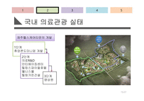 [서비스 경영] 국내 의료관광 산업의 실태 및 잠재력에 대한 분석-15