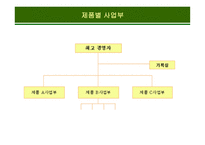 글로벌 전략에 적합한  조직구조의 설계-14