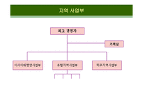 글로벌 전략에 적합한  조직구조의 설계-19