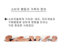 [소비경제학] 가족 소비 의사결정에 대한 마케팅 전략 분석-5