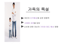 [소비경제학] 가족 소비 의사결정에 대한 마케팅 전략 분석-10