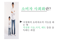 [소비경제학] 가족 소비 의사결정에 대한 마케팅 전략 분석-14