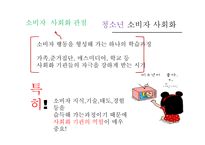 [소비경제학] 가족 소비 의사결정에 대한 마케팅 전략 분석-16