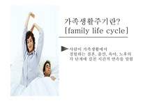 [소비경제학] 가족 소비 의사결정에 대한 마케팅 전략 분석-20
