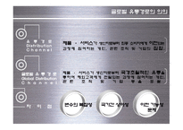 [글로벌 유통] 글로벌 유통 전략 사례-4