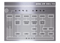 [글로벌 유통] 글로벌 유통 전략 사례-9