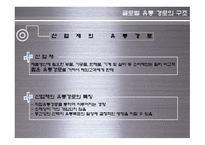 [글로벌 유통] 글로벌 유통 전략 사례-10
