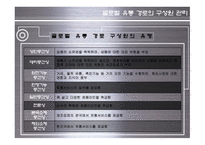 [글로벌 유통] 글로벌 유통 전략 사례-12