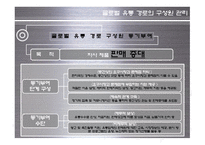 [글로벌 유통] 글로벌 유통 전략 사례-14