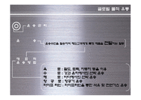 [글로벌 유통] 글로벌 유통 전략 사례-16