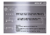 [글로벌 유통] 글로벌 유통 전략 사례-19