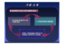 [금융기관론 A+] 삼성화재 직무적성검사(SSAT) 및 면접 분석-11