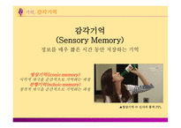 [마케팅 전략] 브랜드 이미지와 제품 포지셔닝을 통한 마케팅 전략 분석-5