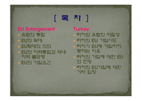[국제기구론 A+] EU 연합과 터키의 회원국 가입에 대한 분석 및 전망-2