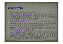 [국제기구론 A+] EU 연합과 터키의 회원국 가입에 대한 분석 및 전망-3