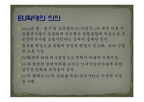 [국제기구론 A+] EU 연합과 터키의 회원국 가입에 대한 분석 및 전망-5