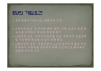 [국제기구론 A+] EU 연합과 터키의 회원국 가입에 대한 분석 및 전망-7