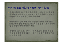 [국제기구론 A+] EU 연합과 터키의 회원국 가입에 대한 분석 및 전망-16