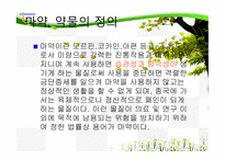 청소년 약물 남용의 원인과 치료-3