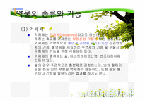 청소년 약물 남용의 원인과 치료-5
