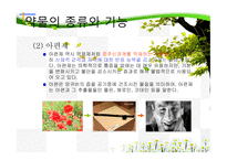 청소년 약물 남용의 원인과 치료-7