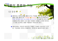 청소년 약물 남용의 원인과 치료-8