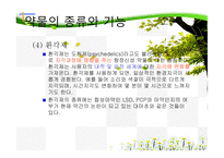청소년 약물 남용의 원인과 치료-10
