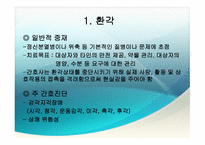 정신분열병 증상에 대한 간호 진단-2