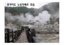 [일본문화의 이해] 일본 목욕 문화의 역사와 배경에 대한 분석-16