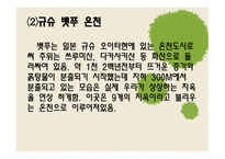[일본문화의 이해] 일본 목욕 문화의 역사와 배경에 대한 분석-17