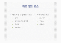[일본의 이해 A+] 일본의 축제(마츠리)에 대한 분석-5