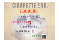 [현대생활과 체육 A+] 흡연에 대한 질병 및 통계를 통한 금연 관리 대책-2