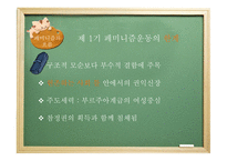 [현대정치론] 페미니즘과 여성정치에 대한 분석-12
