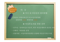 [현대정치론] 페미니즘과 여성정치에 대한 분석-20