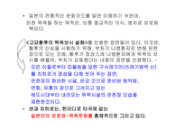 [일본영화의 이해] 일본 유명 영화 감독의 특징 및 문화에 대한 분석-17