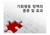 기회평등 정책의 종류 및 효과-1