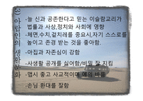 [아랍문화의 이해] 아랍의 생활 문화 및 테이블 매너에 대한 분석-8