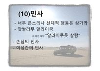 [아랍문화의 이해] 아랍의 생활 문화 및 테이블 매너에 대한 분석-19