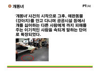 [문화의 이해] 신조어 문화에 대한 분석 및 찬반 의견(설문)-9