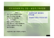 [한국의현대문학 A+] 윤동주와 이육사 시인의 시대상 및 작품세계에 대한 분석-12
