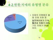 치매노인 부양가족을 위한 복지증진 방안-13