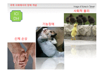 [장애의 이해] 장애와 장애인의 이해 및 범주-17