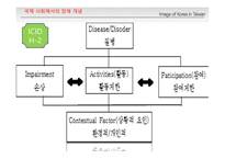 [장애의 이해] 장애와 장애인의 이해 및 범주-18