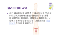 [성의 생물학] 성병의 종류와 원인 및 예방법-8
