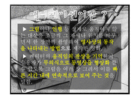 애니메이션의 종류와 유형에 대한 분석-4