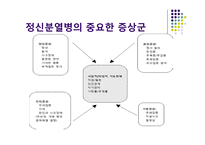[정신간호] 정신분열병의 양성 및 음성 증상에 대한 분석-15