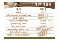 [해부학 A+] 심혈 관계(Cardiovascular System) 용어 정의 및 분석-7