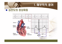 [해부학 A+] 심혈 관계(Cardiovascular System) 용어 정의 및 분석-12